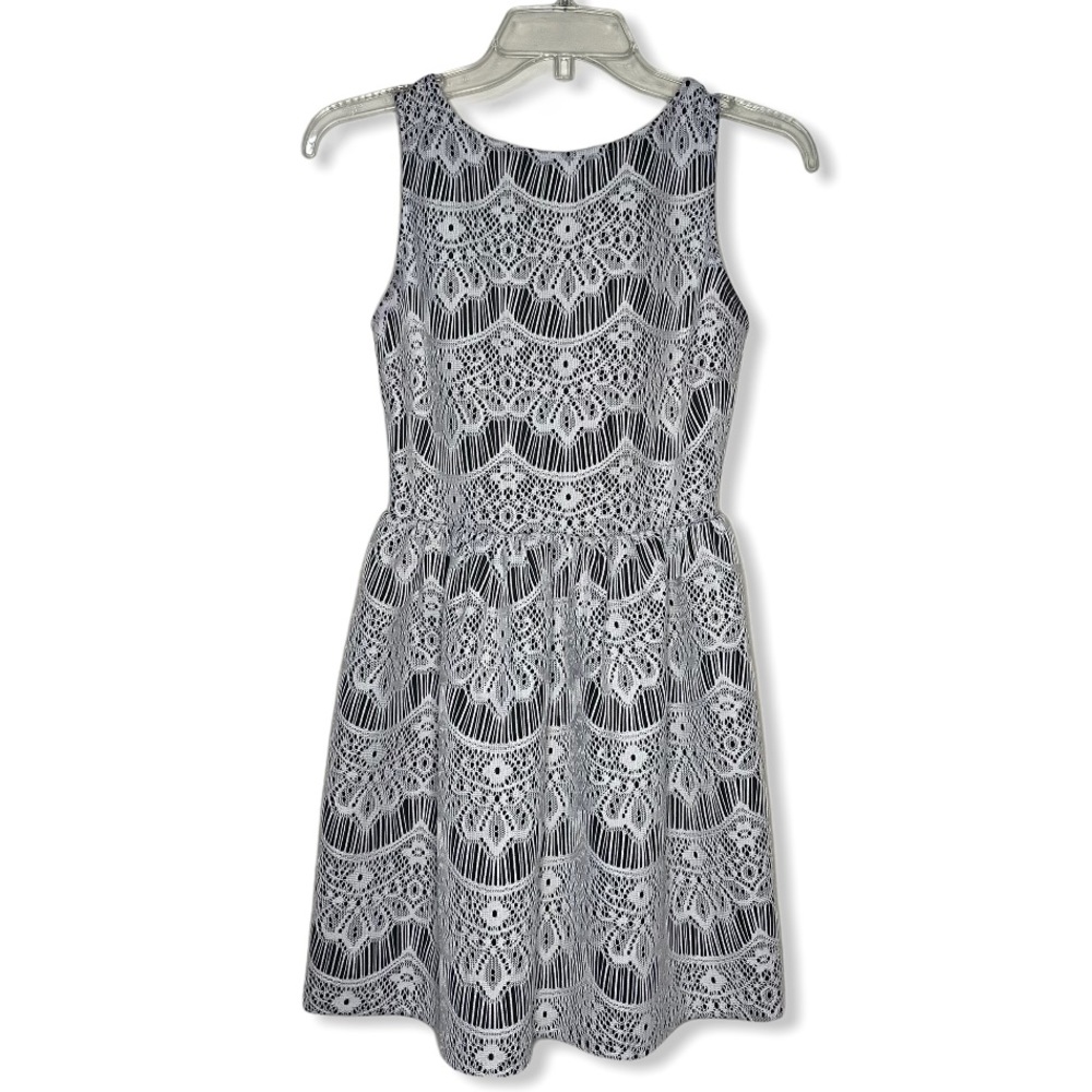 Design Lab Black & White Lace Sleeveless A-Line Dress